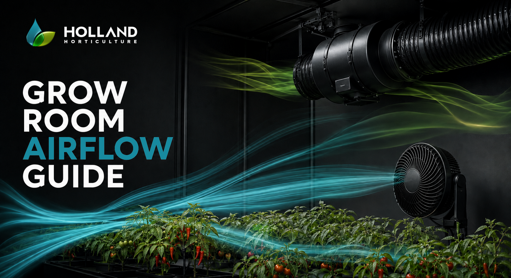 Grow Room Airflow Guide: How to Circulate Air Around Indoor Plants