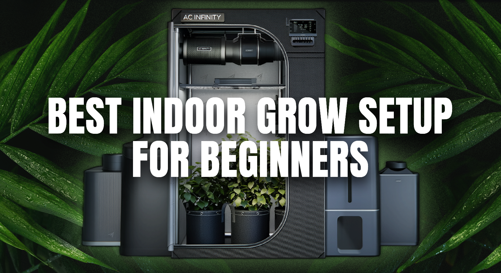 Best Indoor Grow Setup for Beginners: Complete Equipment Guide