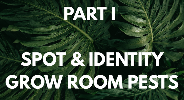 Part I - Spot & Identify Grow Room Pests This Summer