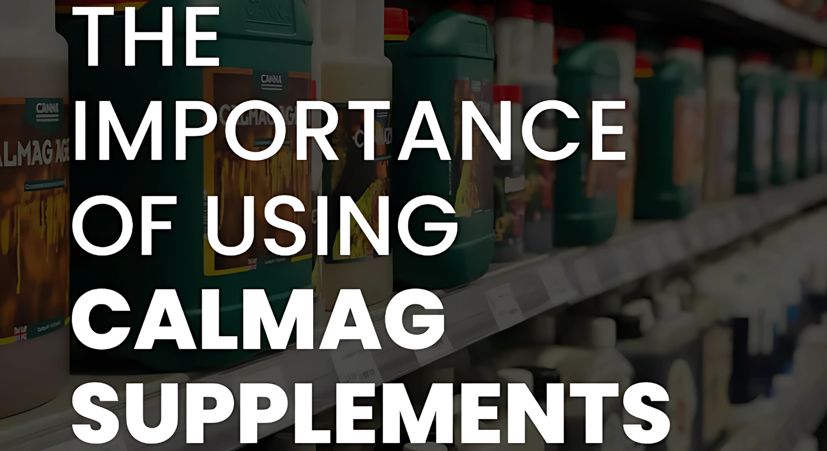 The Importance Of Using CalMag Supplements