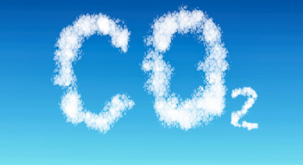 The Importance Of CO2 In Your Hydroponic Grow Room
