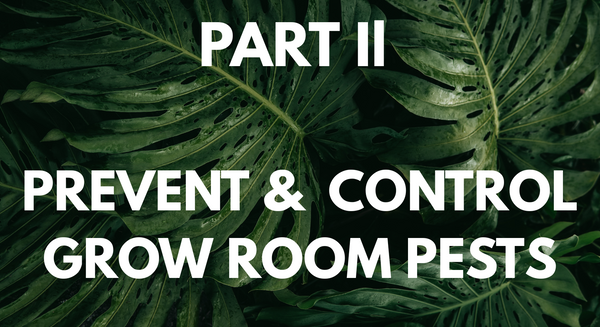 Part II - Prevent & Control Grow Room Pests This Summer