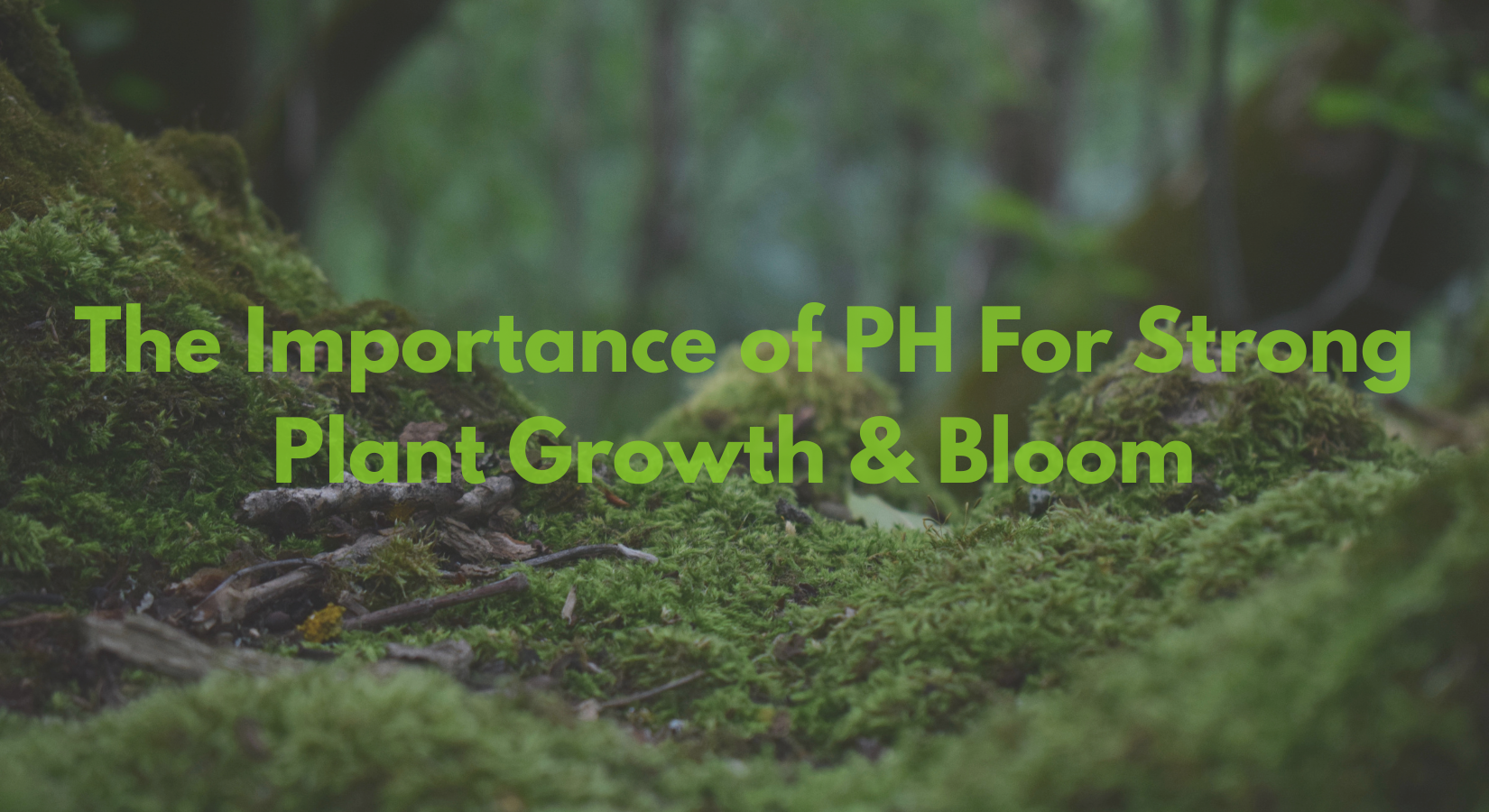Importance of PH Blog Cover Image