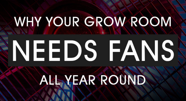 Why Your Grow Room Needs Fans All Year Round