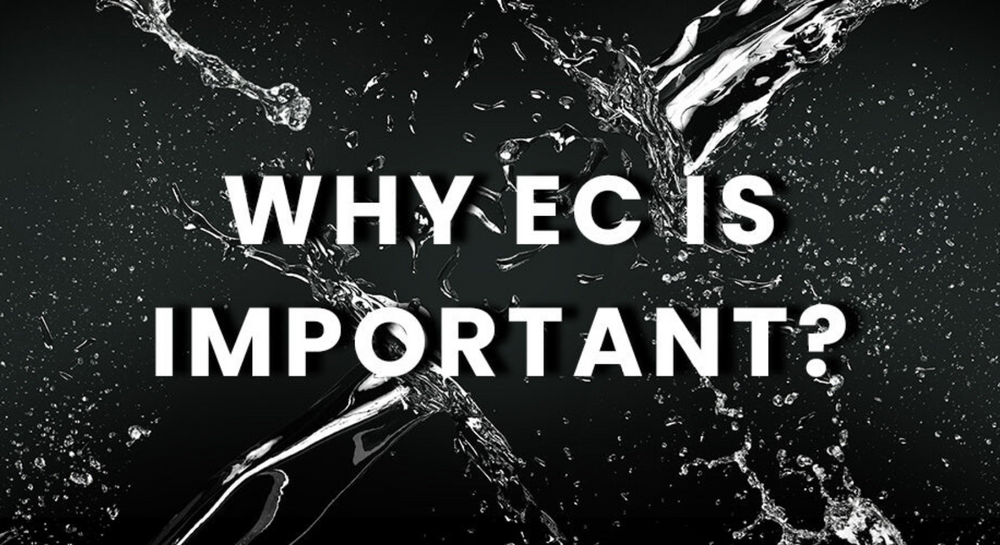 Why EC Is Important In Hydroponics Blog by Holland Horticulture