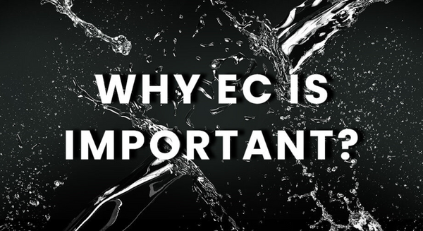 Why EC Is Important In Hydroponics
