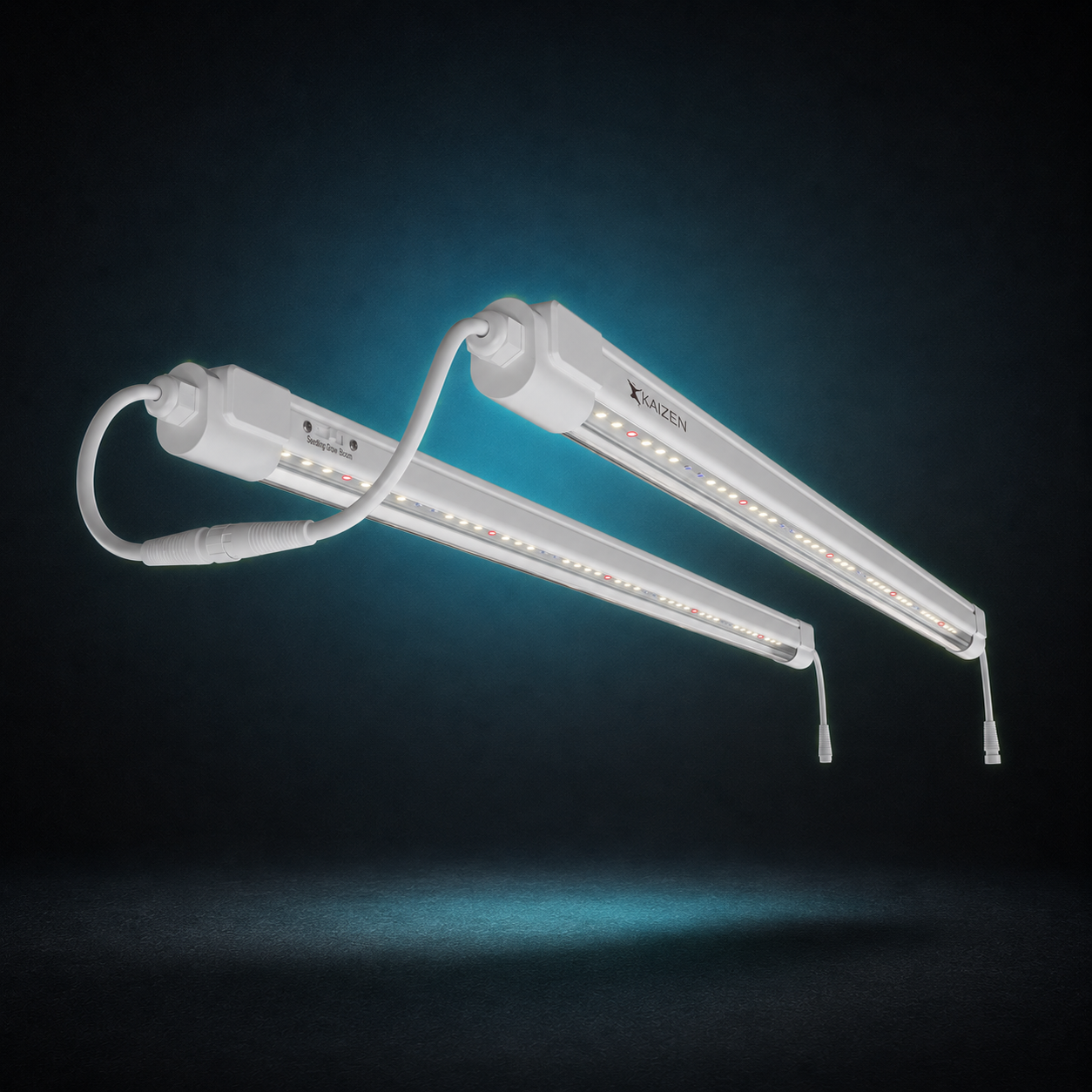 Propagation LED Lights