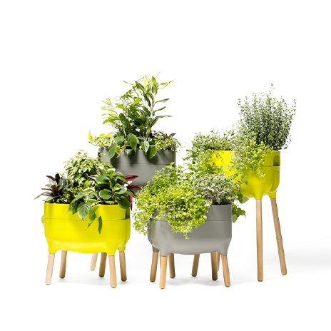 Self Watering Planters Image