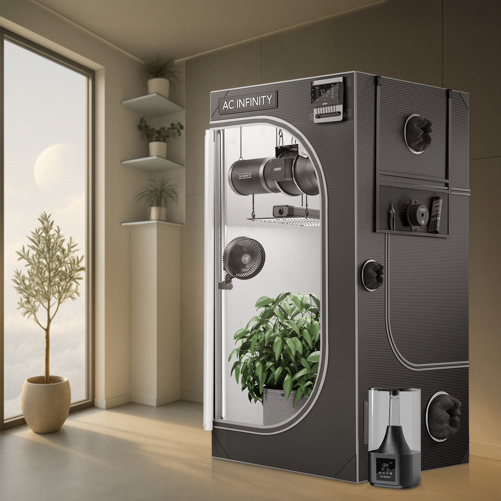 cloudlab on display in house