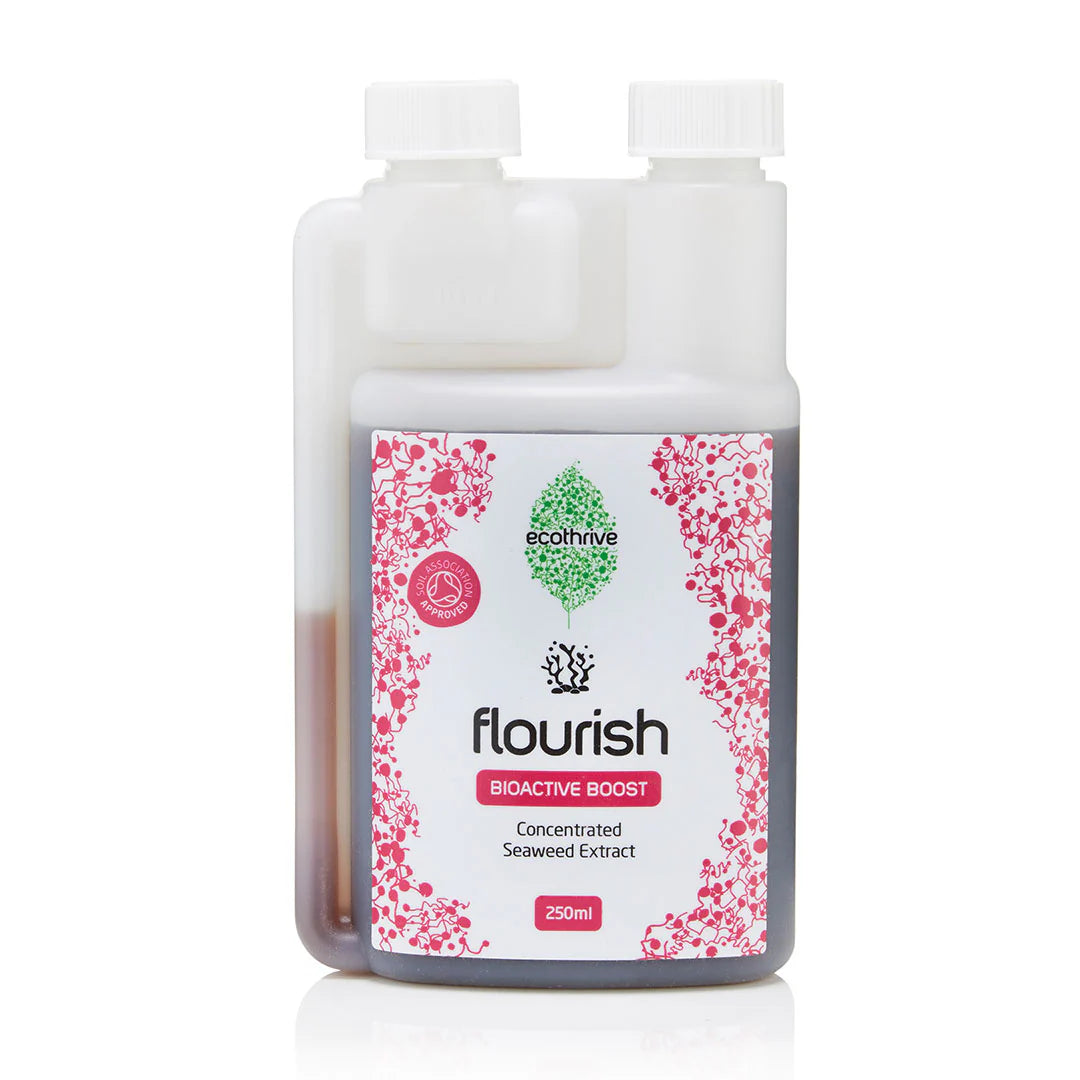 250ml Bottle of Ecothrive 'flourish' bioactive boost with floral design on a white background