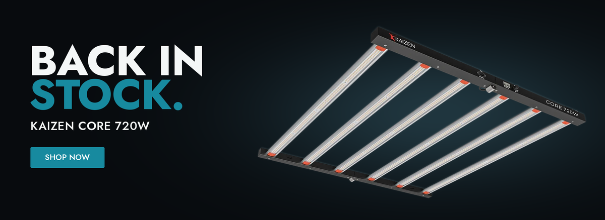 Image of the light on a dark background with text showing back in stock.
