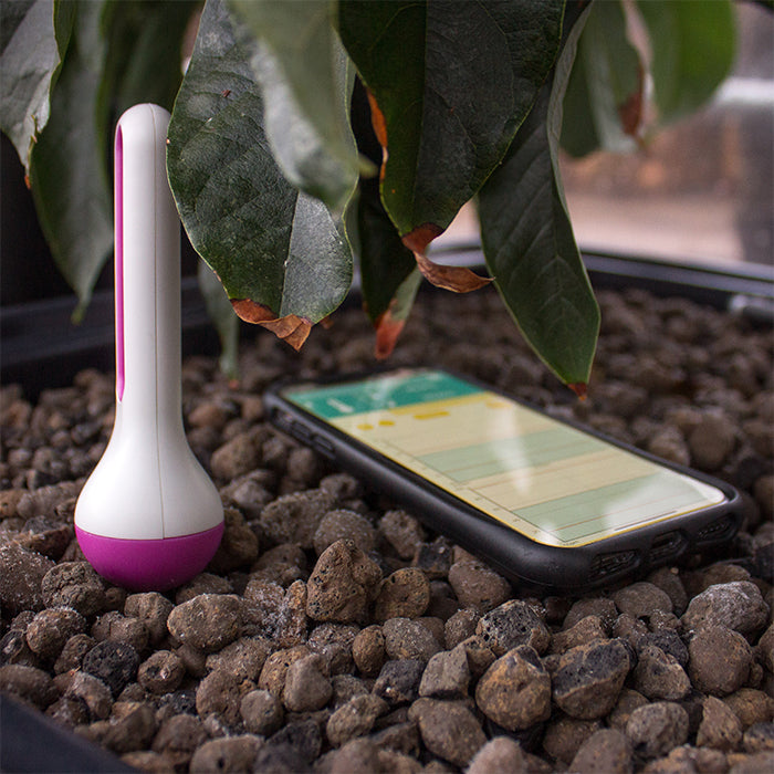 AirComfort Wireless Temperature/Humidity Sensor 2