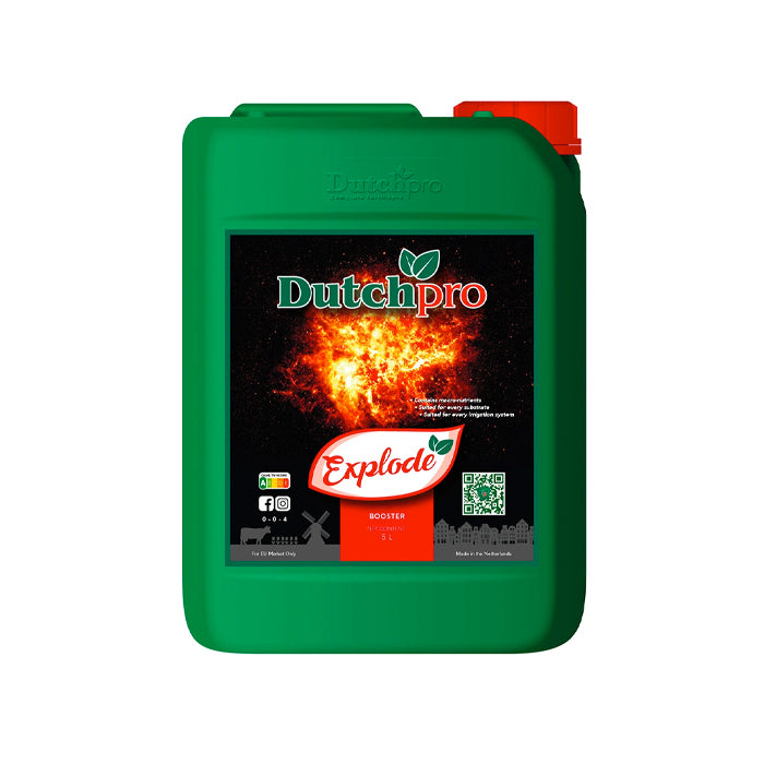 DutchPro Explode