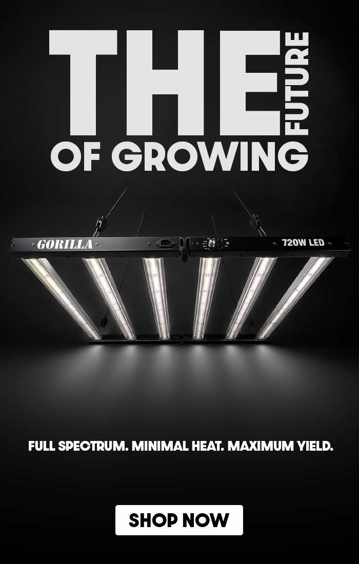 Discover the Gorilla LED 720W Grow Light. High-efficiency full-spectrum lighting with low heat output, dimmable control, and exceptional canopy coverage for maximum plant performance.