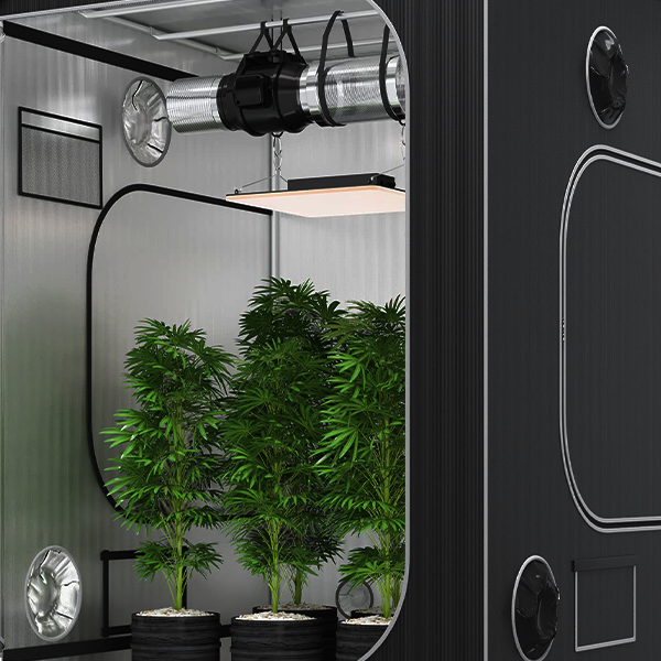 Hydroponics Kits