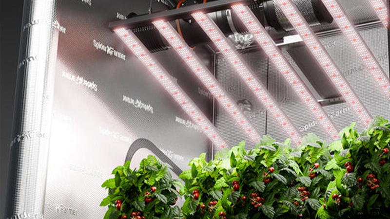 Grow Lights