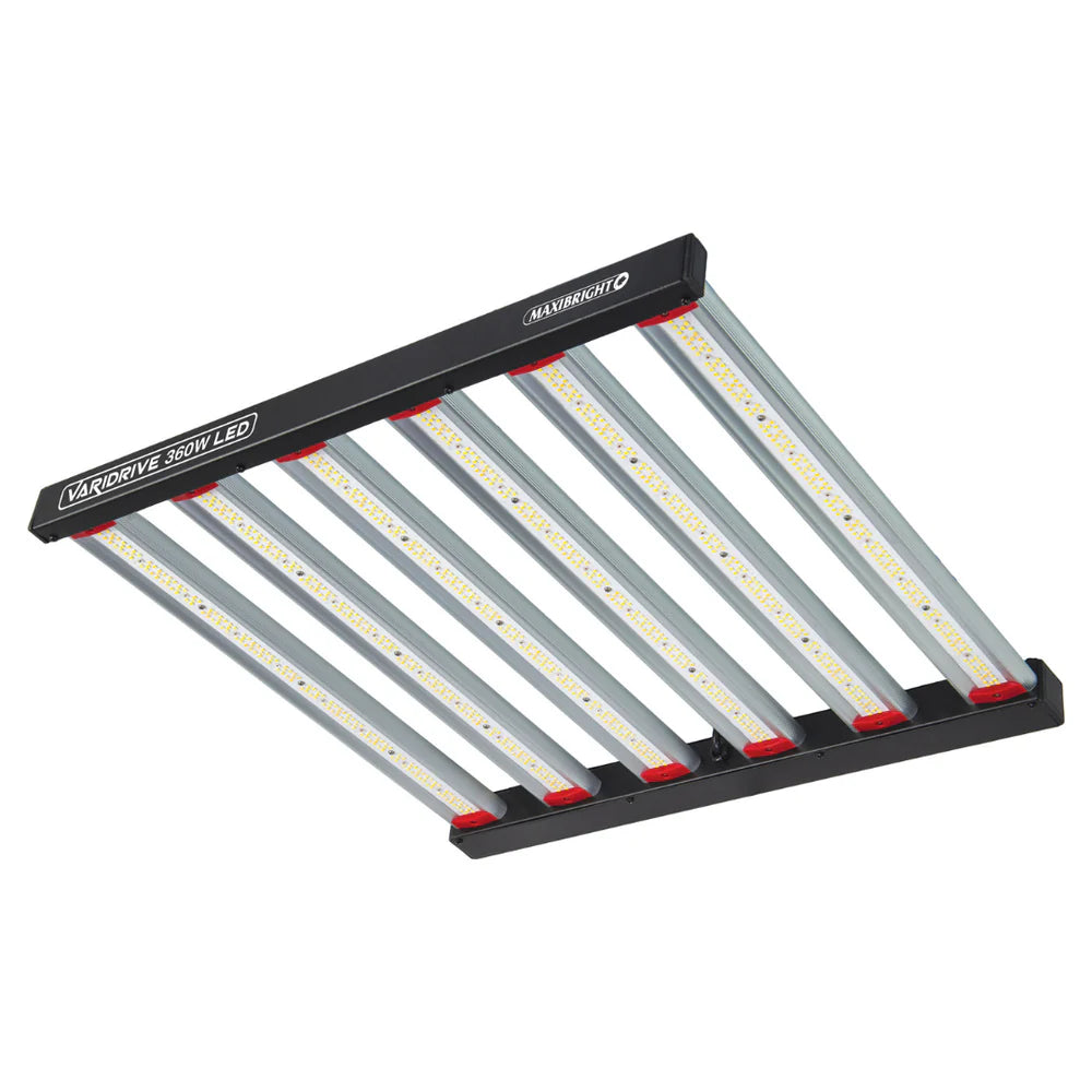Maxibright Varidrive 360W LED full-spectrum grow light in 1m² grow tent