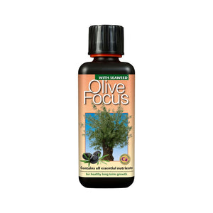 Growth Technology Olive Focus – Buy Manager’s Offers – Exclusive Hydroponics Deals at Holland Horticulture | Holland Horticulture