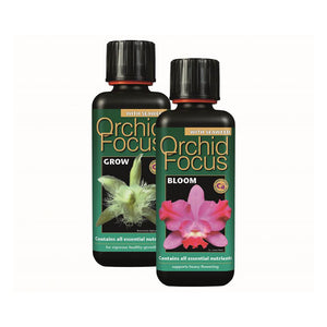 Orchid Focus Grow & Bloom – Buy Manager’s Offers – Exclusive Hydroponics Deals at Holland Horticulture | Holland Horticulture