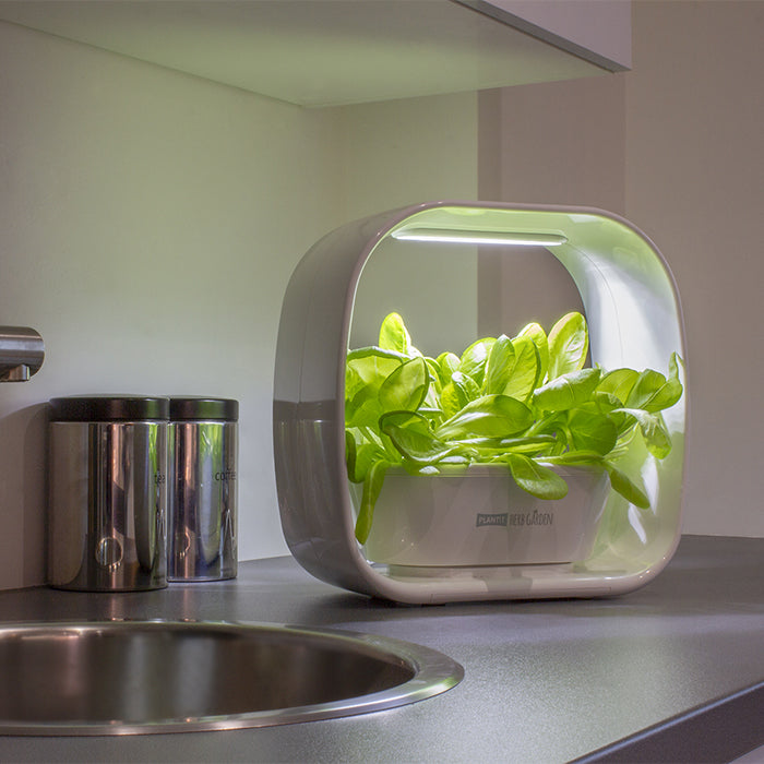 Plant!t Herb Garden