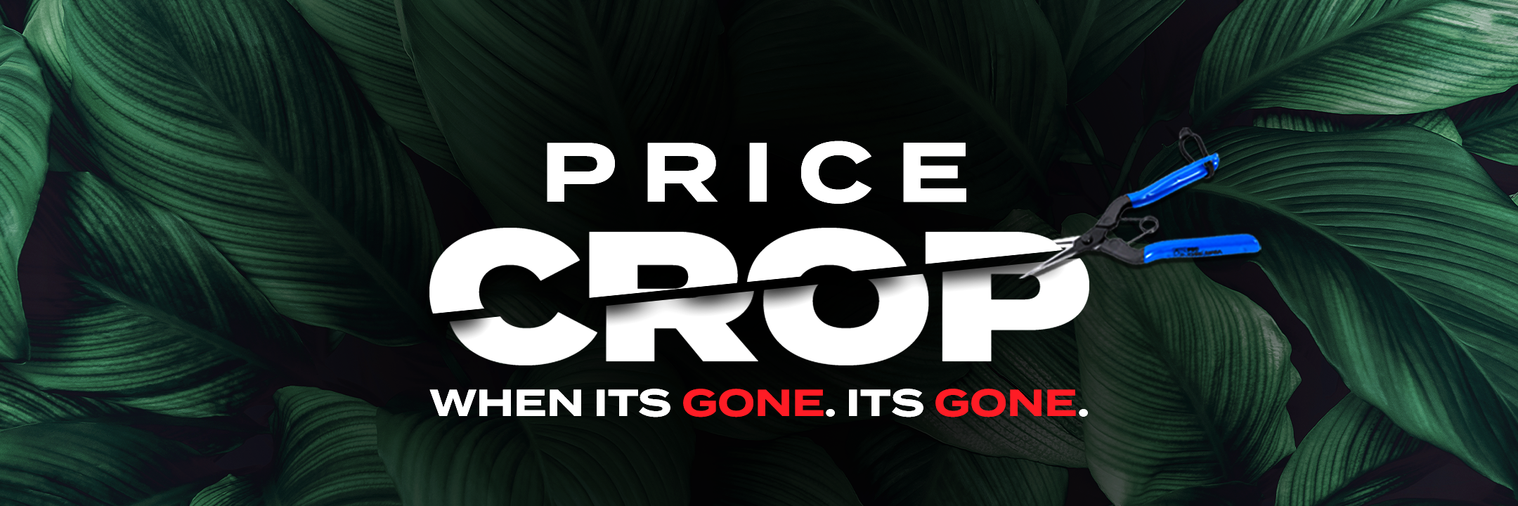 Huge Discounts