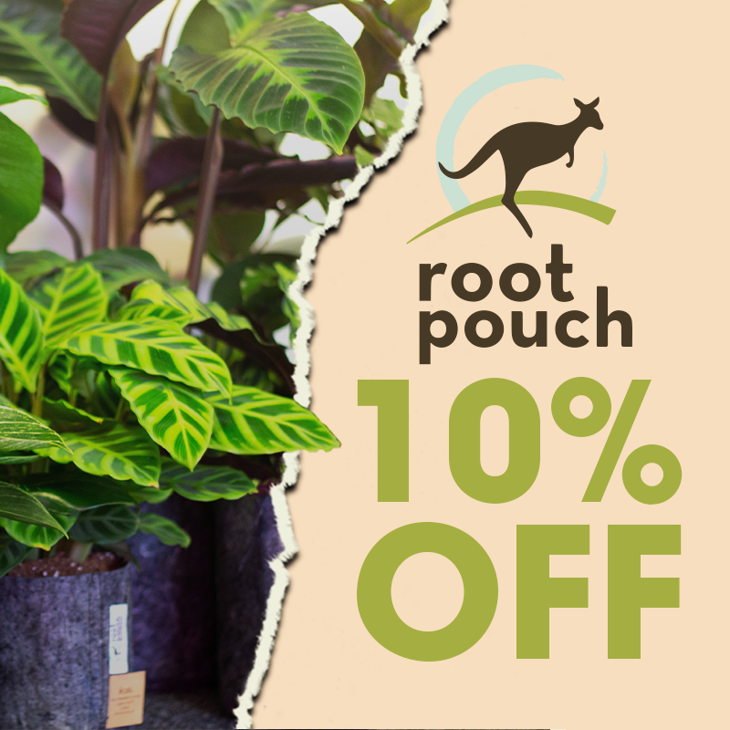 Root Pouch 10% off – breathable fabric grow bags for healthier roots