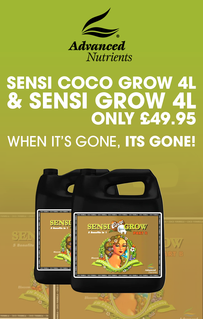 Advanced Nutrients Sensi Grow and Sensi Coco Grow hydroponic nutrients collection at Holland Horticulture