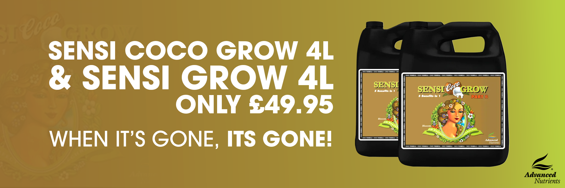 Advanced Nutrients Sensi Grow and Sensi Coco Grow hydroponic nutrients collection at Holland Horticulture