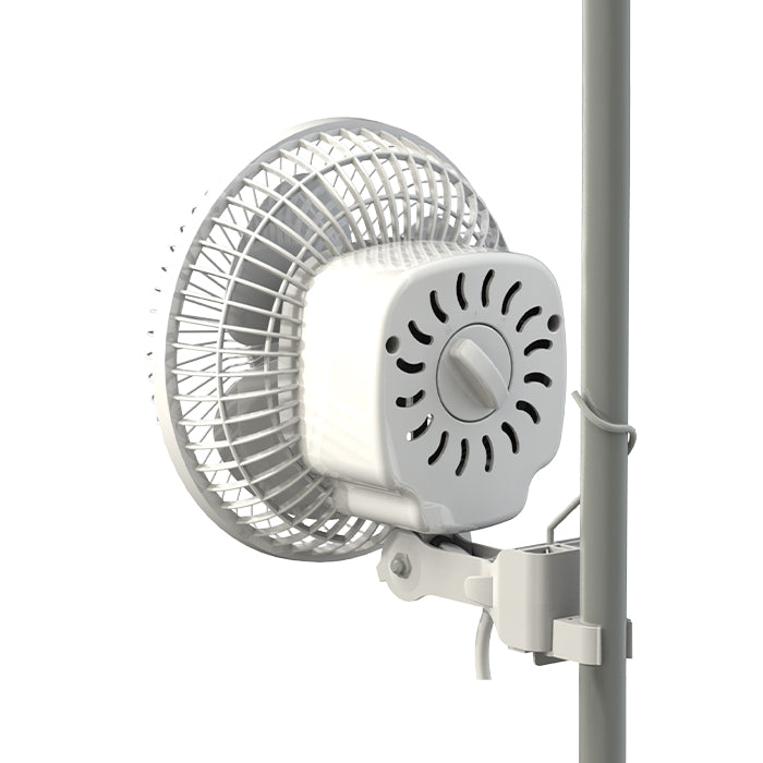 Monkey Fans Secret Jardin Monkey Fans Oscillating 8 inch 10 inch | Air Circulation Fan