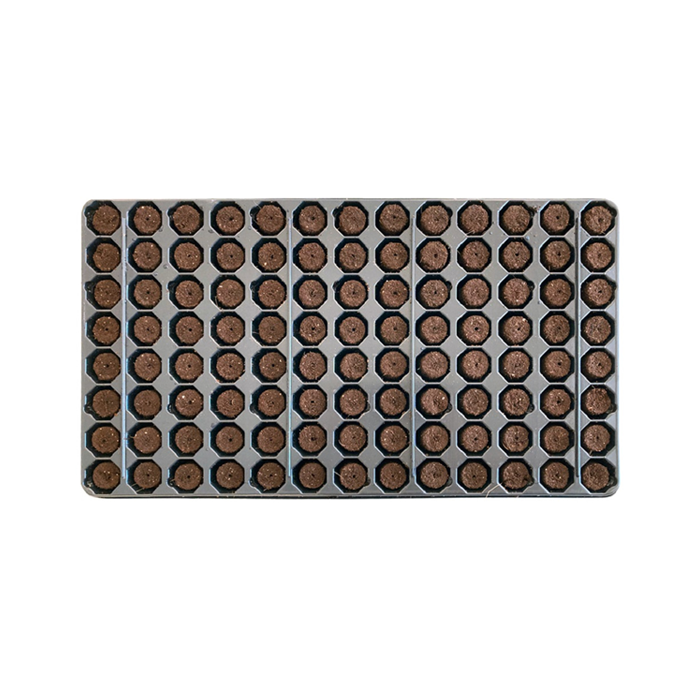 A tray of urgo soil plugs, each with a round, compacted soil ball, arranged neatly in a grid pattern.